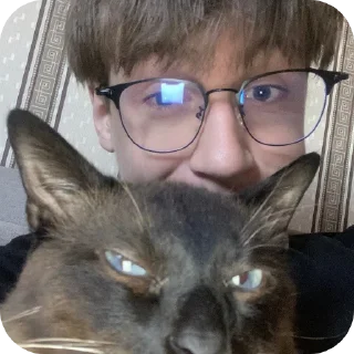 🐱