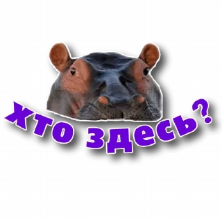 😶