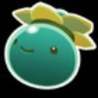 ⭐️