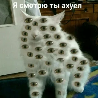 👀