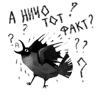🐦‍⬛