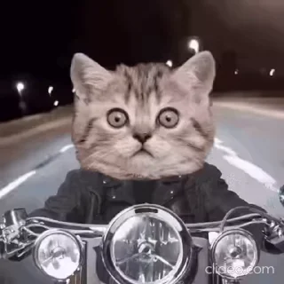 🏍
