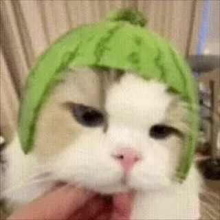 🍉
