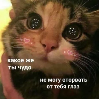 🤩