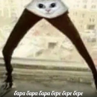 💃