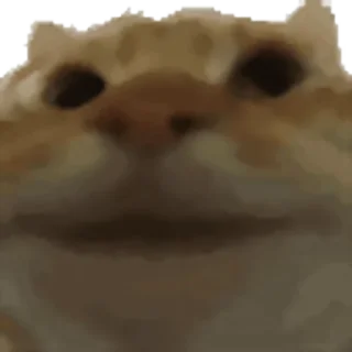 ✅