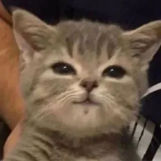 🤭