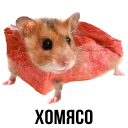 🐹