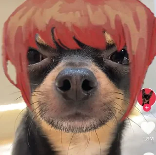 😊