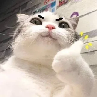 👍