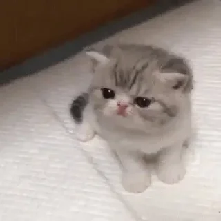 😡