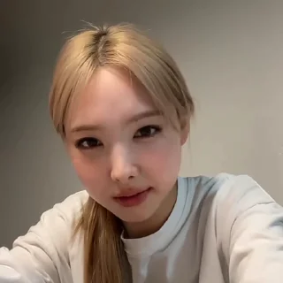 🐰
