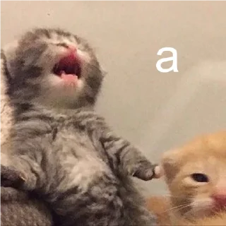😲