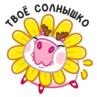 🌻