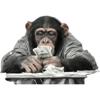 💵