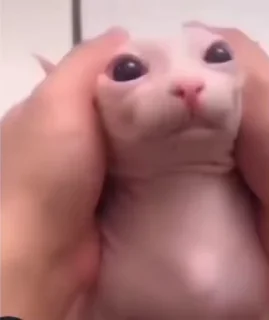 😋