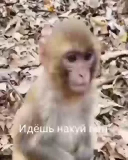 😡