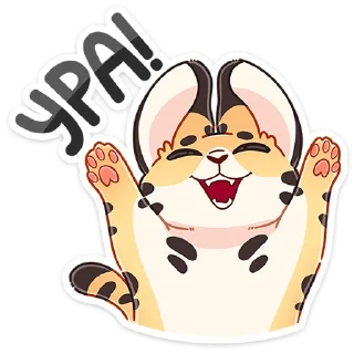 🥳