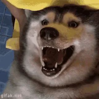 😜