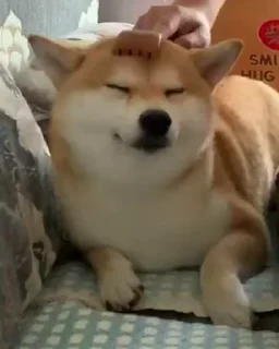😇