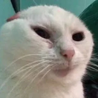 😕