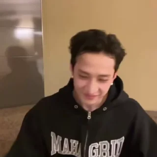 🪰