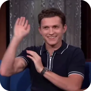 🕷️