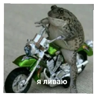 👋