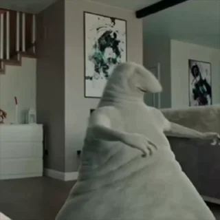 🤩