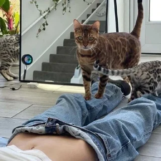 🌚