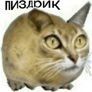 🥔