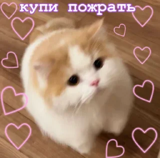 🙏