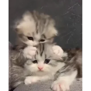 ❤️
