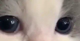 🤨