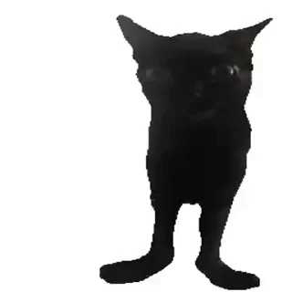 😺