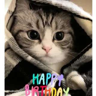 🥺