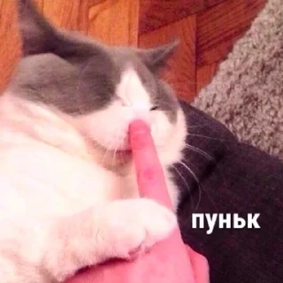 👇