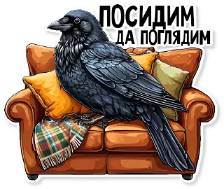 🛋