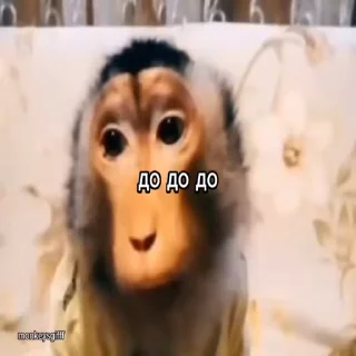🤭