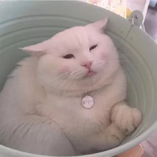 😊