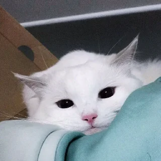 😌