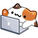 💻