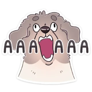 🐶