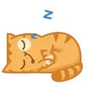 😴