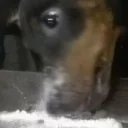 😚
