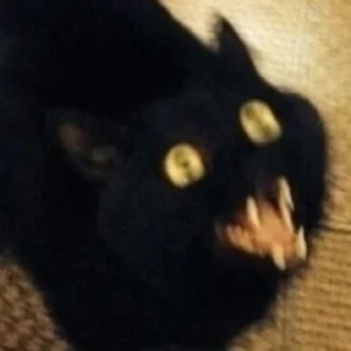 🤣