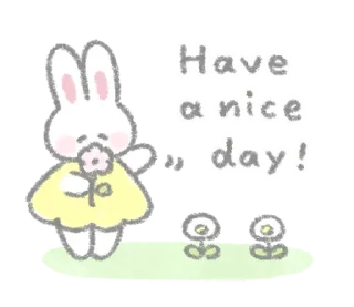 🐰