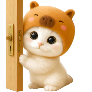 🚪