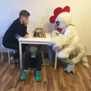 🐓