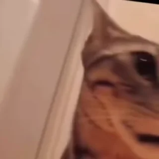 😱